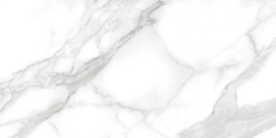 Наcтенная/напольная плитка (керамогр) Carrara Classic 60x120 - Ennface