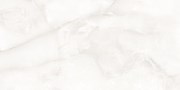 Наcтенная/напольная плитка (керамогр) Florida Onyx Silver 60x120 - TerracottaPro