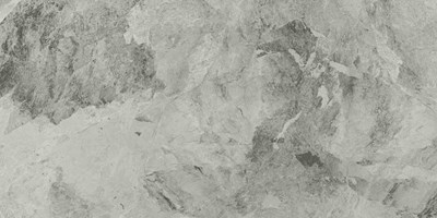 Напольная плитка (керамогранит) Charme Extra Silver  Ret 60x120 - Italon