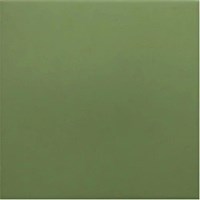 Напольная плитка (керамогранит) Rivoli Green 20x20 - Equipe