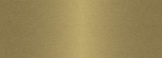 Бамбуковая панель Aluminium champagne 110x280 - Bonaparte