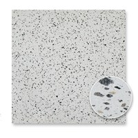 Бетонная плита Winter Tops 60x60 (15 мм) - Terrazzo