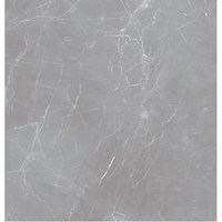 Керамогранит Arion Gray Dark (20 мм) 60x60 - Ocean Ceramic 