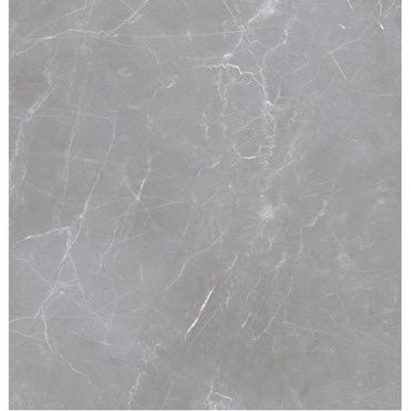 Керамогранит Arion Gray Dark (20 мм) 60x60 - Ocean Ceramic 