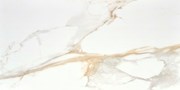 Керамогранит Camile gold pul 59x119 - STN Ceramica