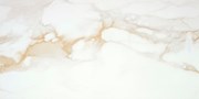 Керамогранит Camile gold pul 59x119 - STN Ceramica