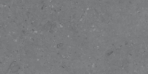 Керамогранит Cemento ammonite grey 60x120 - MDetails