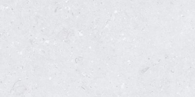Керамогранит Cemento ammonite silver 60x120 - MDetails
