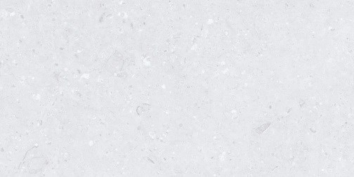 Керамогранит Cemento ammonite silver 60x120 - MDetails