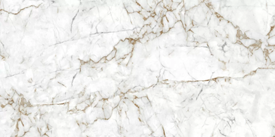Керамогранит Crown Carving 60x120 - Eurotile