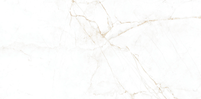 Керамогранит DUAL WHITE NT/60Х120Х0,9/C/R 60x120 - Museum 