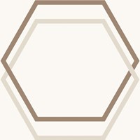 Напольная плитка (керамогранит) Gio Hexagon Warm 20x20
