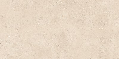 Керамогранит Terrazzo Light Ivory Matt THS4804M 60x120 - Buono