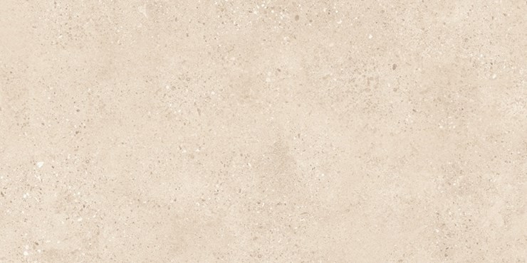 Керамогранит Terrazzo Light Ivory Matt THS4804M 60x120 - Buono