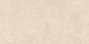 Керамогранит Terrazzo Light Ivory Matt THS4804M 60x120 - Buono