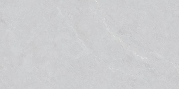 Наcтенная/напольная плитка (керамогр)  Cateye Light Grey BHW-0023 60x120 - Basconi Home