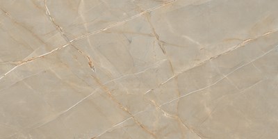 Наcтенная/напольная плитка (керамогр) Perth Tan Carving 60x120 - TerracottaPro