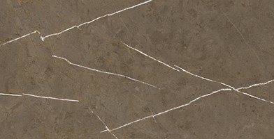 Наcтенная/напольная плитка (керамогр) Stone Brown BHM-5009 60x120 - Basconi Home
