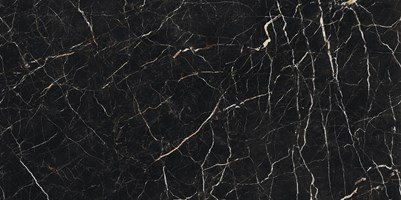 Напольная плитка (керамогранит) Allure Imperial Black лаппатированная 60x120- Atlas Concorde