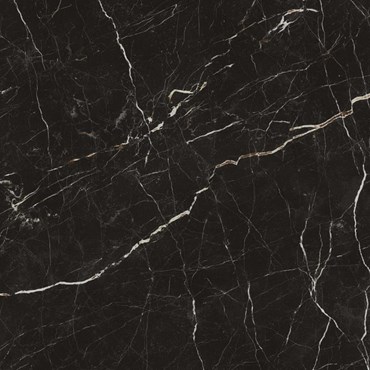 Напольная плитка (керамогранит) Allure Imperial Black лаппатированная 60x60- Atlas Concorde