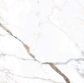 Напольная плитка (керамогранит) Antares White Pock (NR106) 60x60  - Primavera