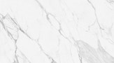 Напольная плитка (керамогранит) Artic statuario Glossy NTT99528P 60x120-NT Ceramic