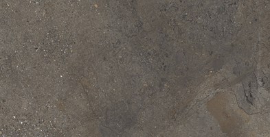 Напольная плитка (керамогранит) Axion cold saturn NTTHS99806D 60x120 - NT Ceramic