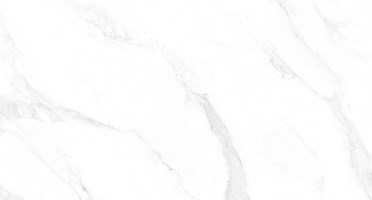 Напольная плитка (керамогранит) Carrara Anita Glossy M4402P 60x120 - Buono