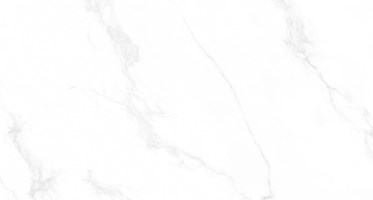 Напольная плитка (керамогранит) Carrara Anita Mat M4403M 60x120 - Buono