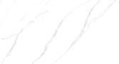 Напольная плитка (керамогранит) Carrara Livia Glossy M4401P 60x120 - Buono