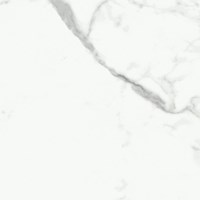 Напольная плитка (керамогранит) Dalim White (NR104) 60x60  - Primavera
