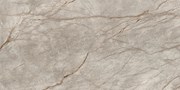 Напольная плитка (керамогранит) Empire Silver Root Lapp 60x120  - Atlas Concorde