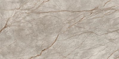 Напольная плитка (керамогранит) Empire Silver Root матовая 60x120  - Atlas Concorde