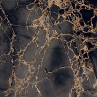 Напольная плитка (керамогранит) Golden Black (GR101) 60x60   - Primavera