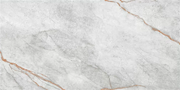 Напольная плитка (керамогранит) Imola 783 IMU1GY 60x120 - Eurotile