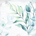 Напольная плитка (керамогранит) Mayolica Woods 14,8x14,8 - Peronda