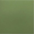 Напольная плитка (керамогранит) Rivoli Green 20x20 - Equipe