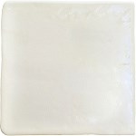 Напольная  плитка (керамогранит) Roots S White Gloss 11x11 -WOW