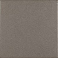 Напольная плитка Pasion base gris 20x20  - Ribesalbes