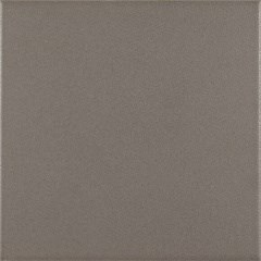 Напольная плитка Pasion base gris 20x20  - Ribesalbes