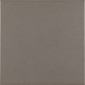 Напольная плитка Pasion base gris 20x20  - Ribesalbes