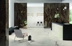 Настенная/ напольная плитка (керамогранит) Allmarble Frappucino lux MMAK 60x120  - Marazzi