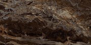 Настенная/ напольная плитка (керамогранит) Allmarble Frappucino lux MMAK 60x120  - Marazzi