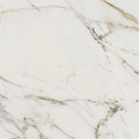 Настенная/ напольная плитка (керамогранит) Allmarble Golden White M4GP 60x60  - Marazzi