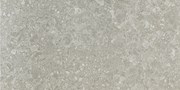Настенная/напольная плитка (полированная) Ceppo gris 45x90 - Pamesa