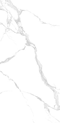 Настенная плитка (керамогранит) Bianco Carrara NTT3004P 120x240 - NT Ceramic