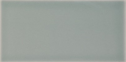Настенная плитка Liso Devon fern brillo 10x20 - Dar Ceramics