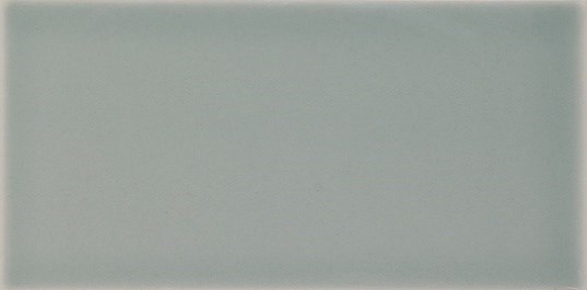 Настенная плитка Liso Devon fern brillo 10x20 - Dar Ceramics