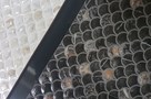 Настенная плитка Mos Lucia Negro 30x90
