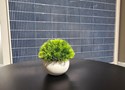 Настенная плитка Nairobi arrow blue 20x20 - Dar Ceramics (CVA)